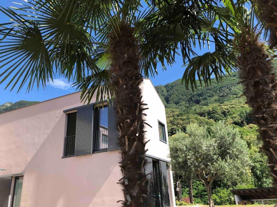 Sinergia E Benessere SantʼAntonio Exteriér fotografie