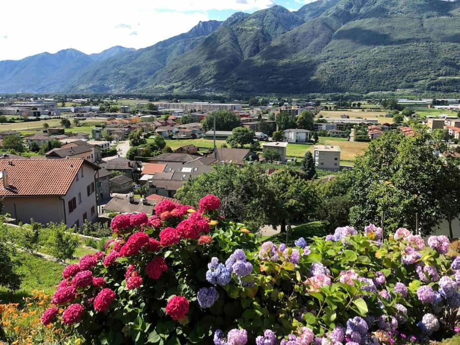 Sinergia E Benessere SantʼAntonio Exteriér fotografie