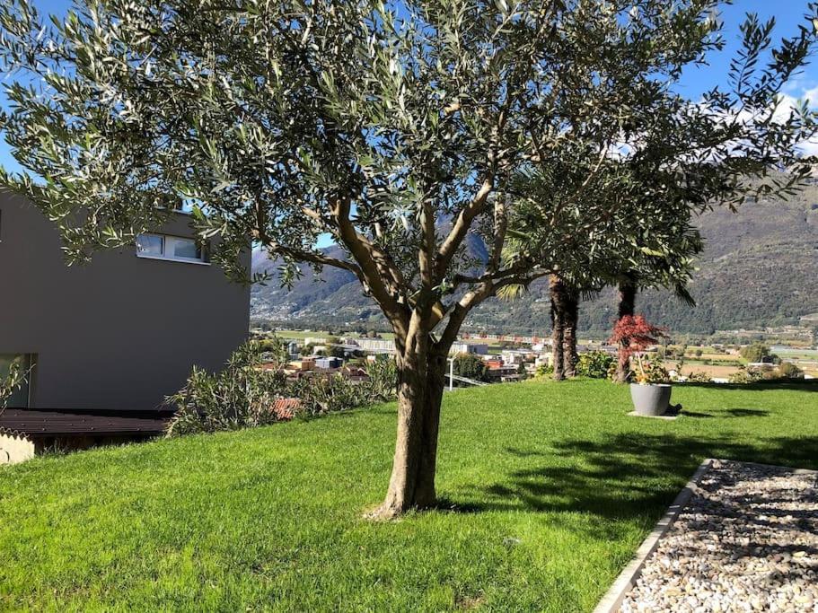 Sinergia E Benessere SantʼAntonio Exteriér fotografie