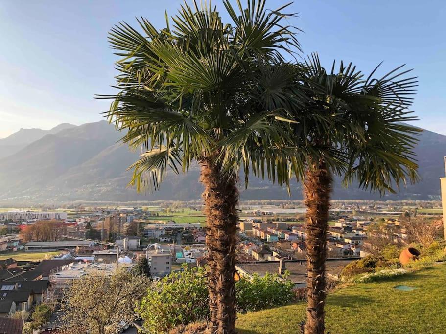 Sinergia E Benessere SantʼAntonio Exteriér fotografie