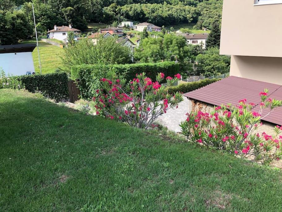 Sinergia E Benessere SantʼAntonio Exteriér fotografie