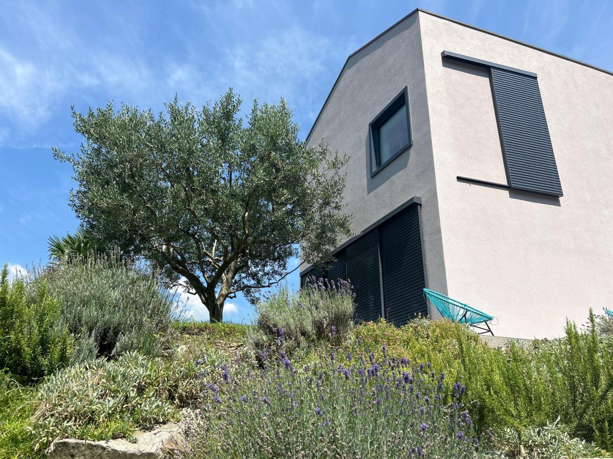 Sinergia E Benessere SantʼAntonio Exteriér fotografie